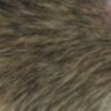rat au poil agouti, brun