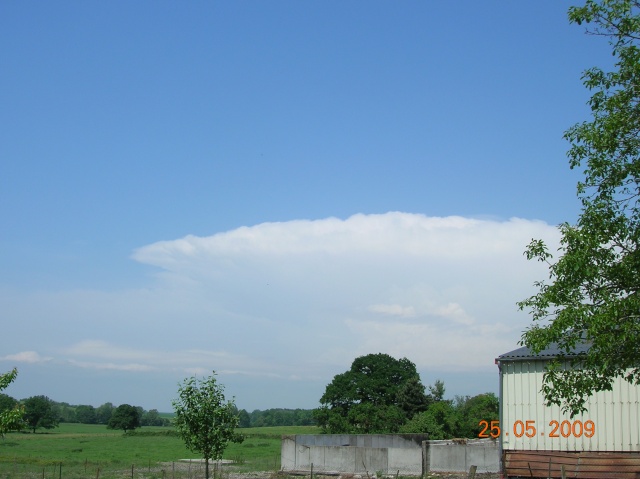 dscn5411.jpg