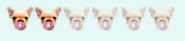 caniche caniche