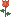 ???? ????