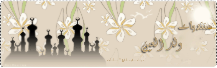 ولد العين