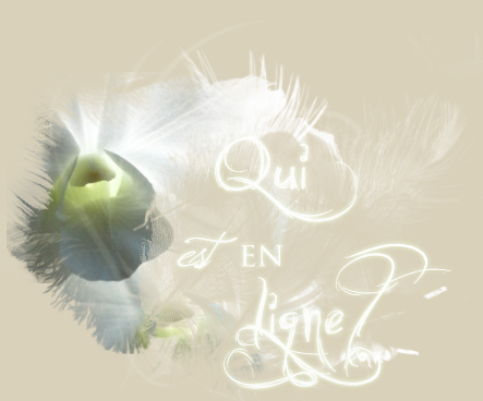 Qui est en ligne ?