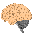 BIRD BRAIN BIRD BRAIN