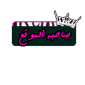 Admin Admin