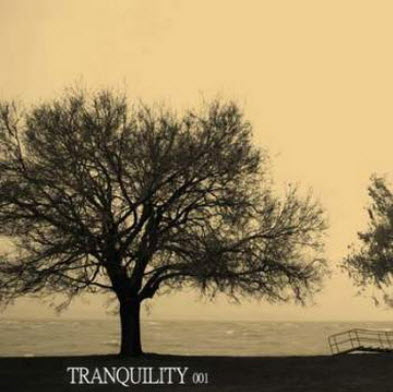 Free VA - Tranquility 001 (2010)