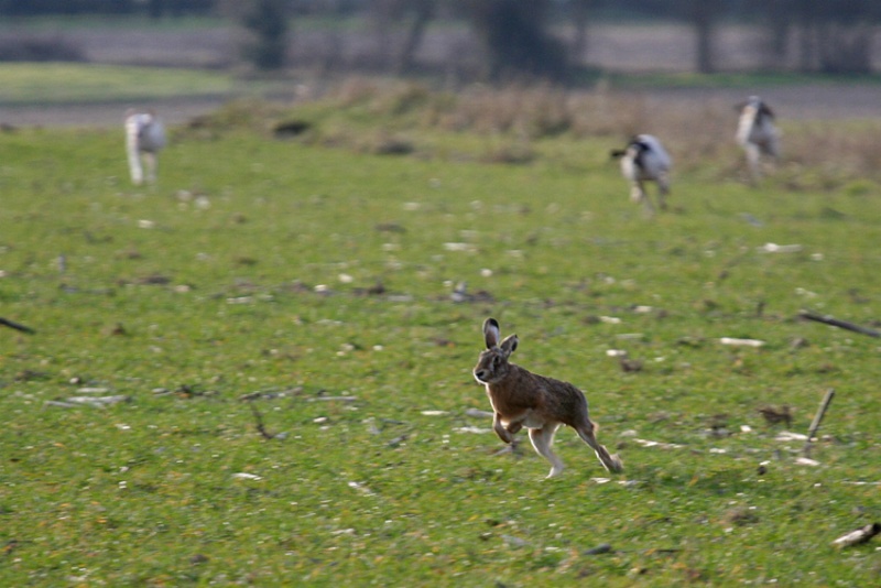 site de rencontre chasseur