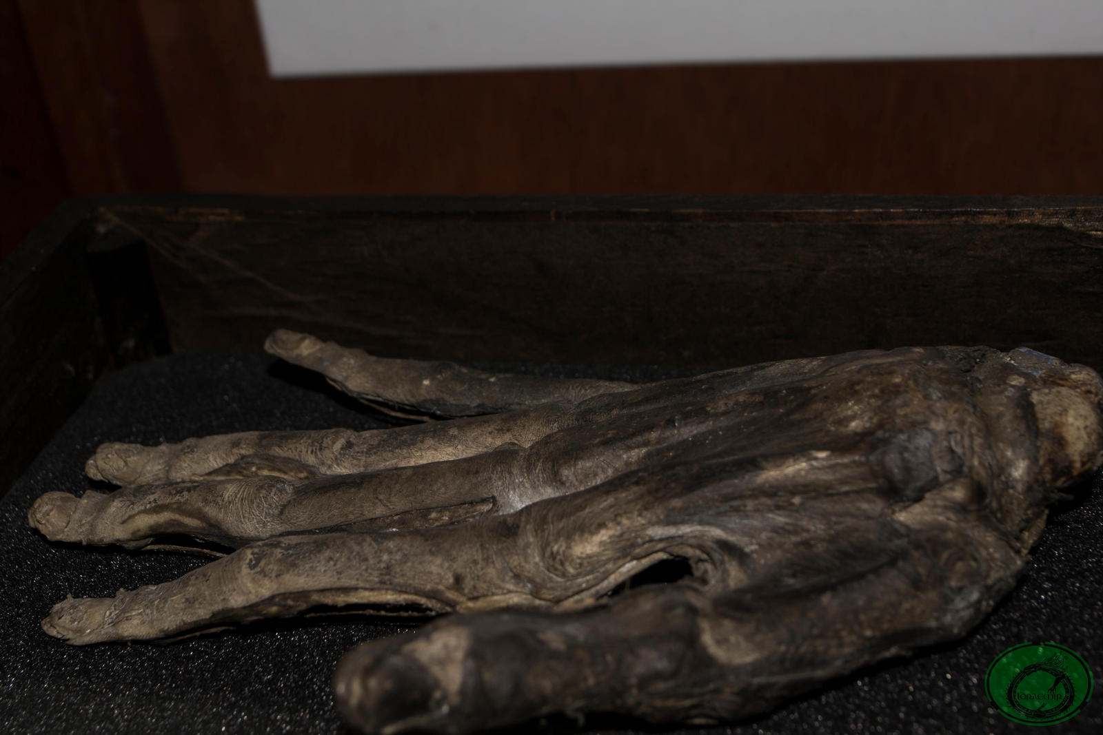 Whitby's Hand of Glory