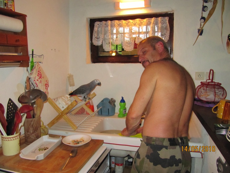img_0617.jpg