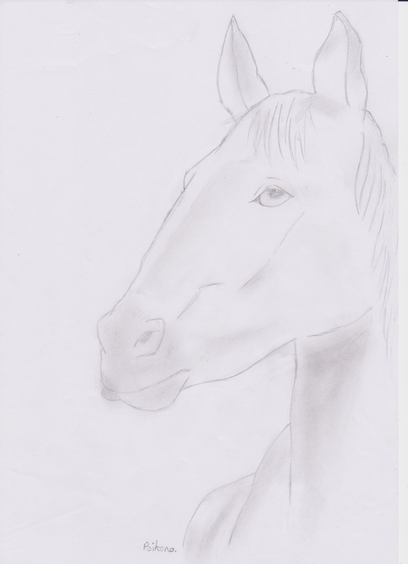 cheval15.jpg