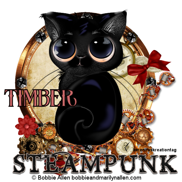 Steampunk/timber7406_frBrandy.png